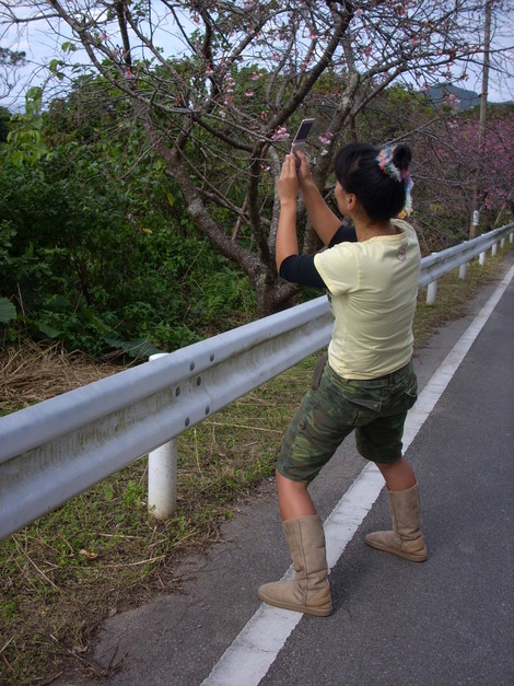写真の撮り方？？