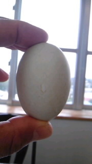 朝ご飯 2012/04/20 07:57:11