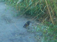 至近距離(笑) 2007/11/06 08:10:18