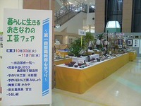 最終日 2007/11/07 19:30:21