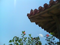 いい天気でした 2007/06/01 01:52:56