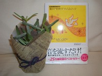 アラフォー 2009/07/30 08:00:00