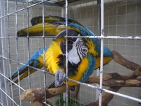 ここに存在あり！ 2009/05/22 01:29:35