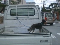 右へ左へ。 2010/07/26 00:30:56