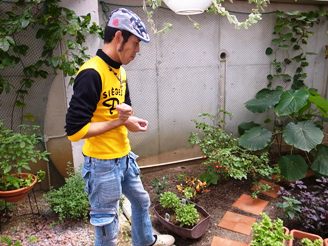 vegeets ladys day vol.2　のようす、その1