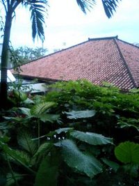 ナハテラス 2006/05/30 13:08:22
