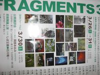 素敵スカーフ入荷♪