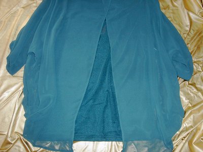 シフォンのブラウス