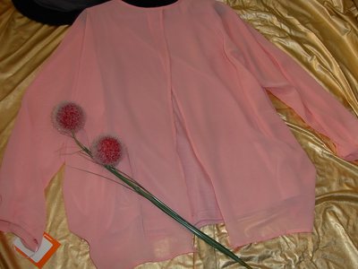 綺麗なピンクブラウス