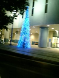 寒くなってきたっぽい？ 2006/11/13 00:40:15