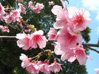 ど～ん！ 2007/02/11 23:44:19