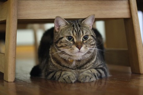 お休みだ～い♪