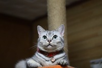 こんな所に住んでます（＾＾）