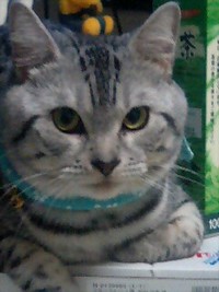 親戚