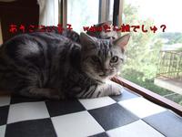 隣に００