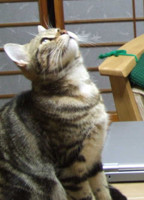 ずらり！！！