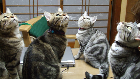 ずらり！！！