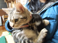 可愛い子がやってきた