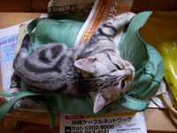 ウッカリ！大変