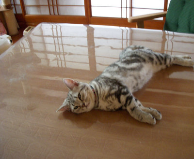 ここは　気持ちいい～