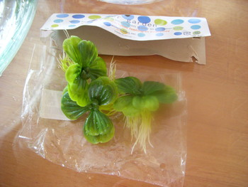 伝えよう愛を。。