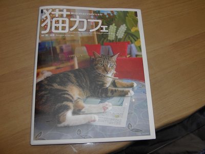 赤ちゃんと老猫ちゃん