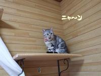 ラブ　ラブ
