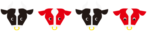 新年