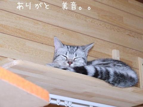 海の近くの家ふう