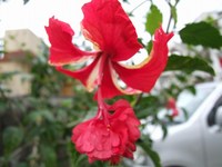 芸術の春。。