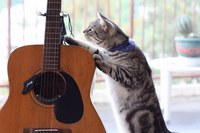 トンネル抜けて～♪