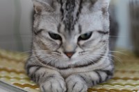難しいね＾＾ 2009/04/11 01:04:14