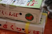 桜桃到来 2009/07/15 00:05:00