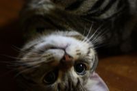 空たん 2009/07/29 00:17:24