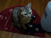 気が利くね！ 2009/04/08 00:03:00