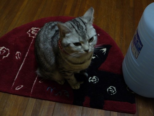 気が利くね！