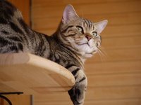 空たんの時