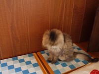 モグちゃんの部屋 2009/05/27 10:00:40