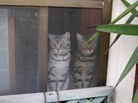 危なかった 2009/06/11 14:59:38
