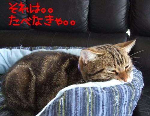 朝から沖縄そば？