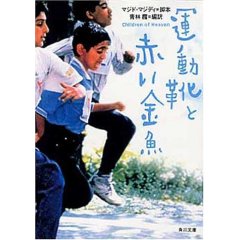 ハトのお許しが・・・