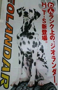 似てる？