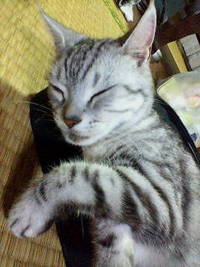 暑いですね 2007/07/21 10:27:46