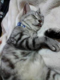 ちょっと面白い？写真 2007/11/07 13:56:23