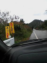 飛び出し注意？ 2008/02/11 13:58:21