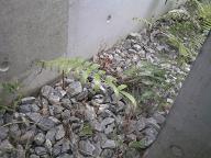 まったり。。。 2011/03/13 10:05:41