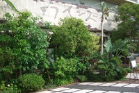 ＊＊＊ ウインズカフェ　ＯＰＥＮ！ ＊＊＊