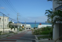 ＊＊＊ Winds Hills Garden ＊＊＊