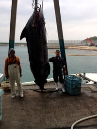 460キロ　２ 2013/12/12 11:15:05
