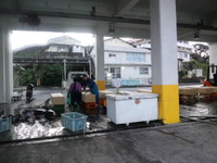 ２０本です。 2014/02/22 10:02:02